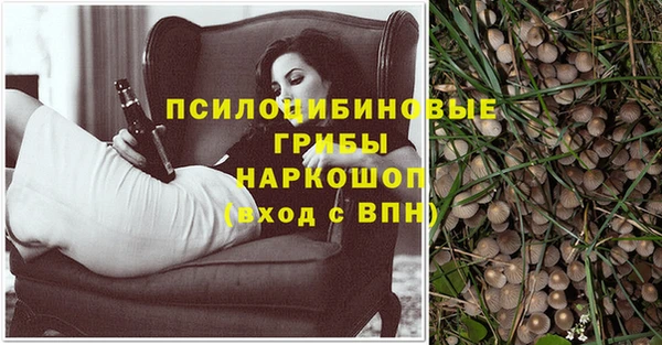 не бодяженный Магас