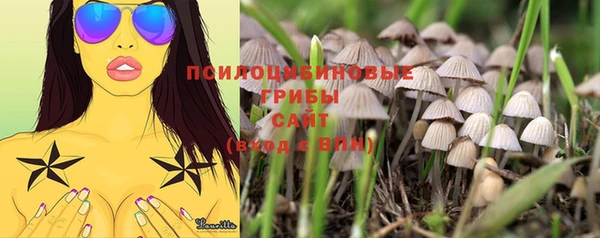 кокс Майский