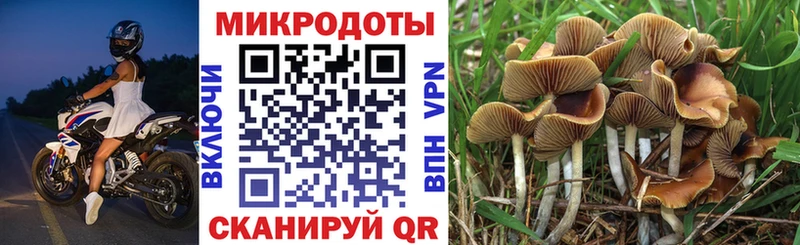 Галлюциногенные грибы ЛСД  KRAKEN онион  Партизанск  хочу наркоту 