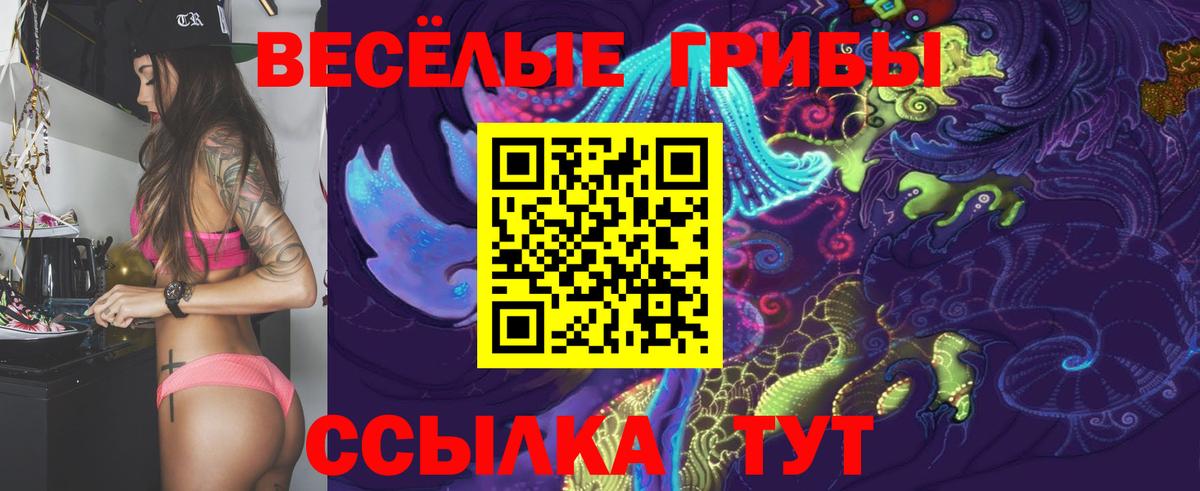 продажа наркотиков  Галлюциногенные грибы GOLDEN TEACHER  Вход с VPN  Партизанск 