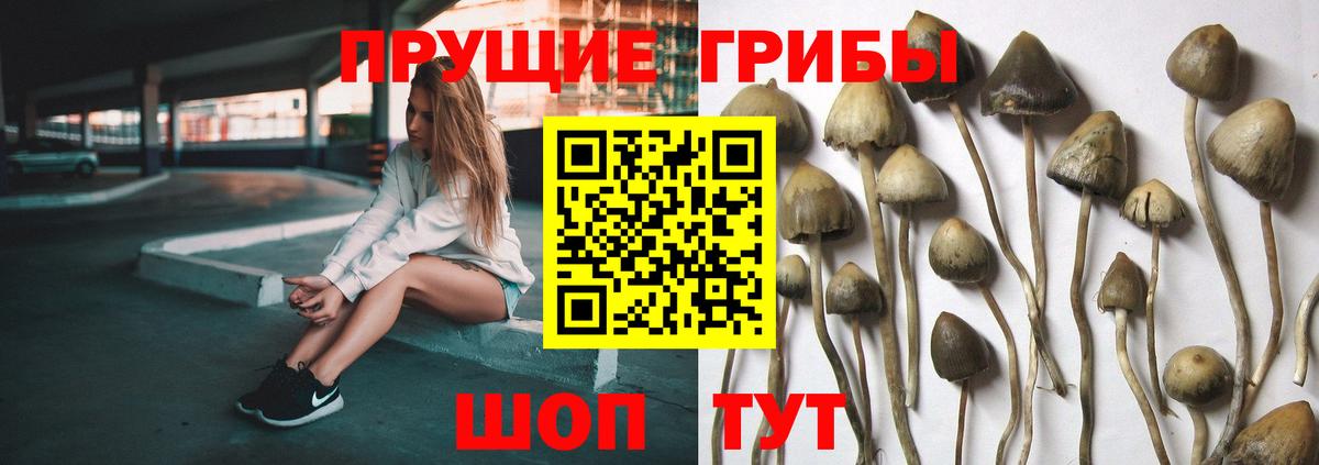 Галлюциногенные грибы мухоморы Партизанск